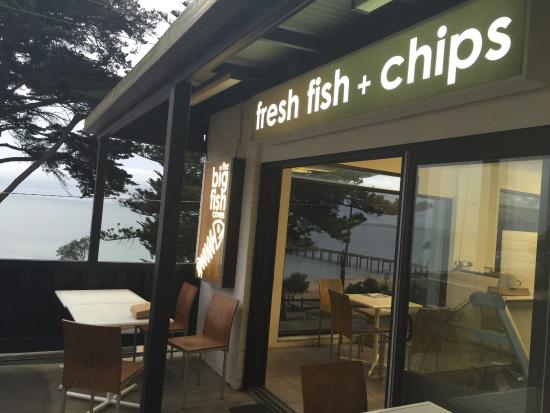Surf Beach VIC Accommodation Bookings