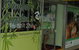 Bamboo Garden - thumb 3