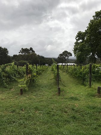 Upper Beaconsfield VIC Accommodation Bookings