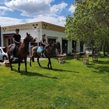 Miss Moose Tuck Shop - Accommodation Bookings 0