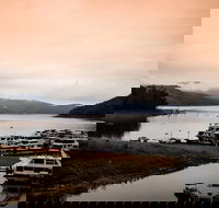 Cafe 501 - Accommodation Bookings