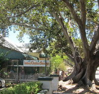 The Season Tree
