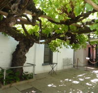 The Vine - Accommodation Bookings