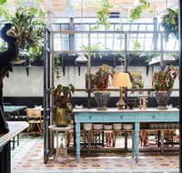 Queen Chow Enmore - Accommodation Bookings