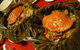 Wokking Inn - thumb 0