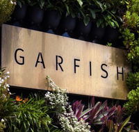 Garfish - Accommodation Bookings
