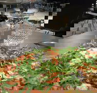 May's Pizzeria - Accommodation Bookings