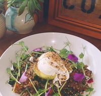 The Shak Organic Cafe  Wine Bar - Accommodation Bookings