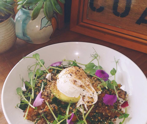 The Shak Organic Cafe & Wine Bar - Accommodation Bookings 0