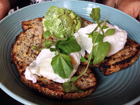 Biscotti - Accommodation Bookings 0