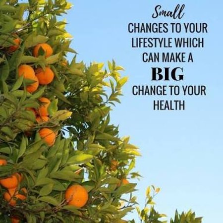 Nelson Bay Health Foods - Accommodation Bookings 0