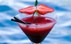 Blue Mango Cafe Wine Bar - thumb 4
