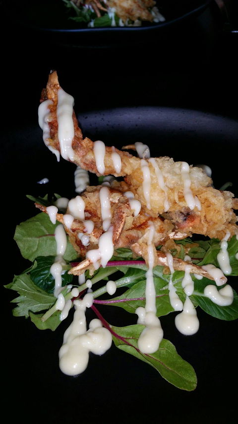 Chilli Orange - Accommodation Bookings 5