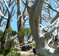 Alpine Eyre - Accommodation Bookings