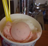 Bermagui Gelati Clinic - Accommodation Bookings