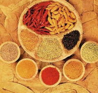 Tehzeeb Indian and Australian Restaurant - Accommodation Bookings