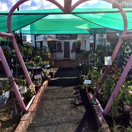 Merrigal NSW Accommodation Bookings