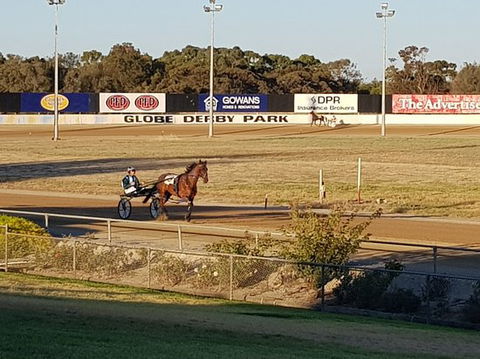 Paceway - Accommodation Bookings 0