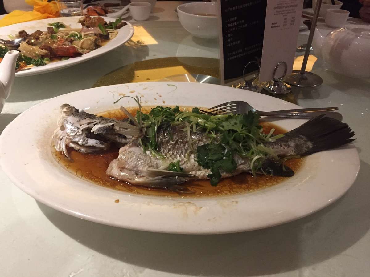 Denistone West NSW Accommodation Bookings