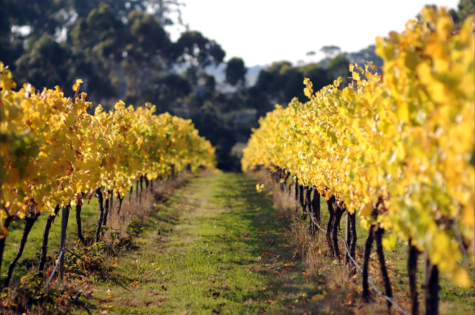  Accommodation Bookings