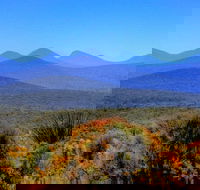 Arcadia Wines - Accommodation Bookings