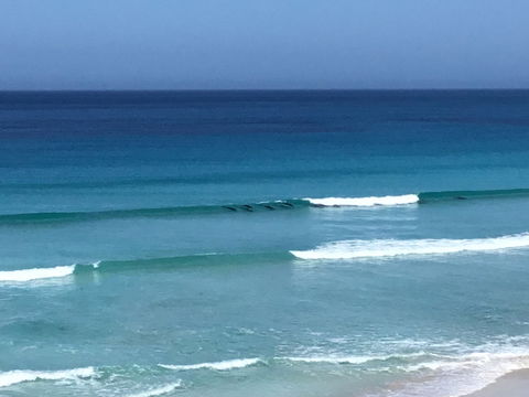 Beach Barista - Accommodation Bookings 1