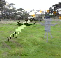 Heard it on the Grapevine - Accommodation Bookings