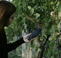 Rowlee Vine To Table Experience - Accommodation Bookings