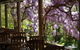 Skillogalee Winery & Restaurant - thumb 2