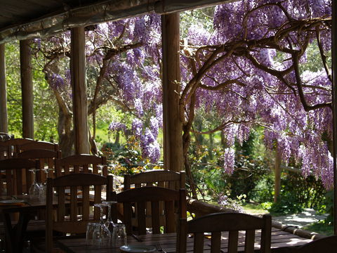 Skillogalee Winery & Restaurant - Accommodation Bookings 2