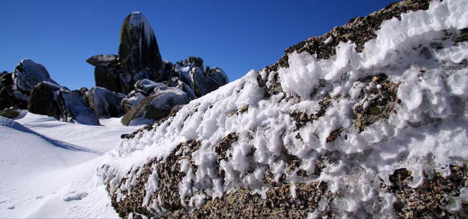 Sawpit Creek NSW Accommodation Bookings