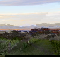 Castle Rock Estate Winery - Accommodation Bookings