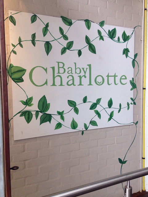 Charlotte - Accommodation Bookings 0