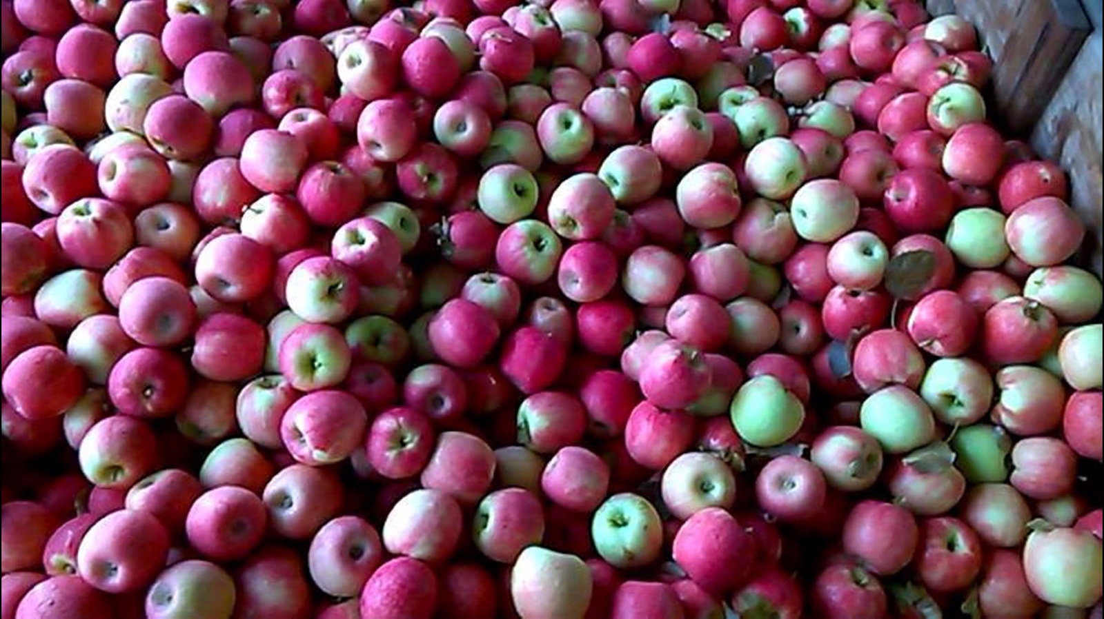 Borenore NSW Accommodation Bookings