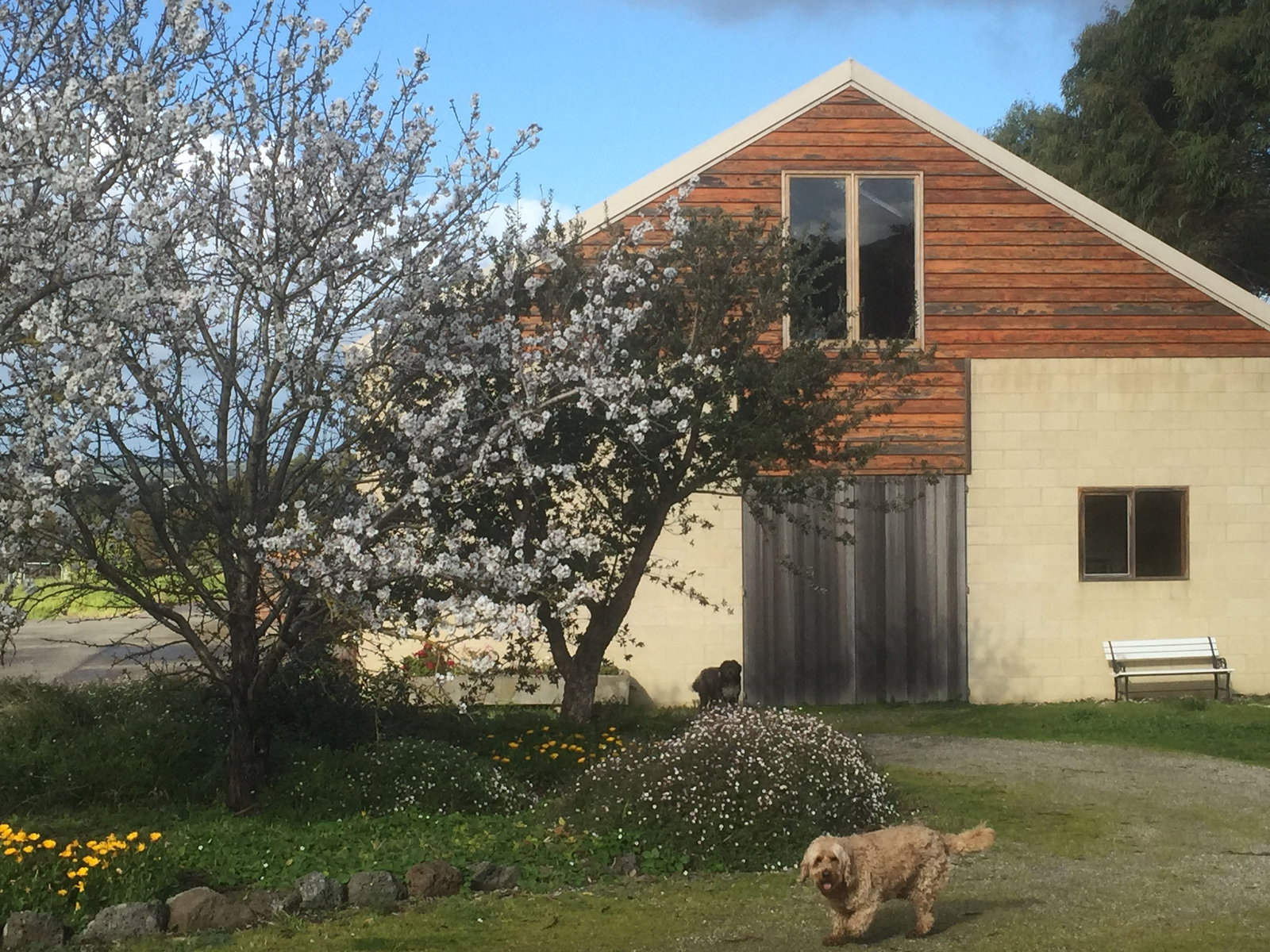 Drysdale VIC Accommodation Bookings