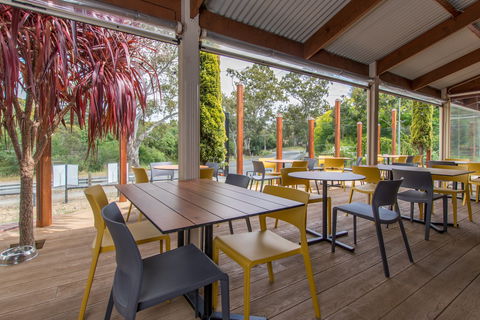 The Duck - Accommodation Bookings 1