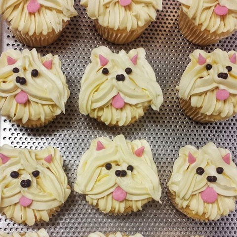 Cupcake Central - Maribyrnong - Accommodation Bookings 0