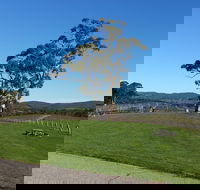 Nepenthe Wines