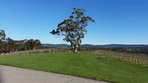 Nepenthe Wines - Accommodation Bookings 0