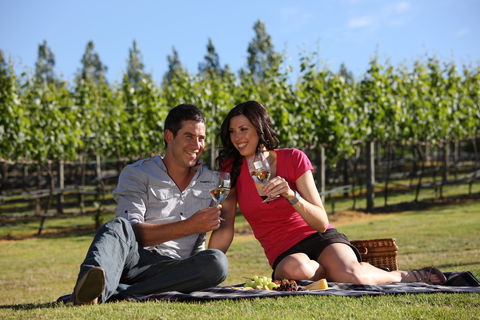 Nepenthe Wines - Accommodation Bookings 1