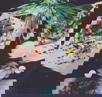 Star Bean Cafe - Accommodation Bookings