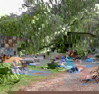 The Pop Inn by Wine Bar Co. - Accommodation Bookings