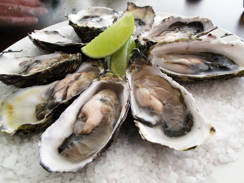 AM Grill - Accommodation Bookings 2