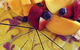 Siam Spice - thumb 4