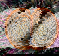 La Bouche - Accommodation Bookings