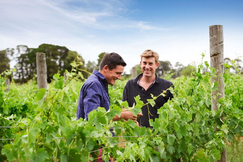 Shadowfax Winery - Accommodation Bookings 1