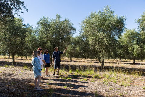 Wollundry Grove Olives - Accommodation Bookings 1