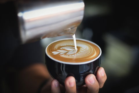 4th Seed Cafe - Accommodation Bookings 1