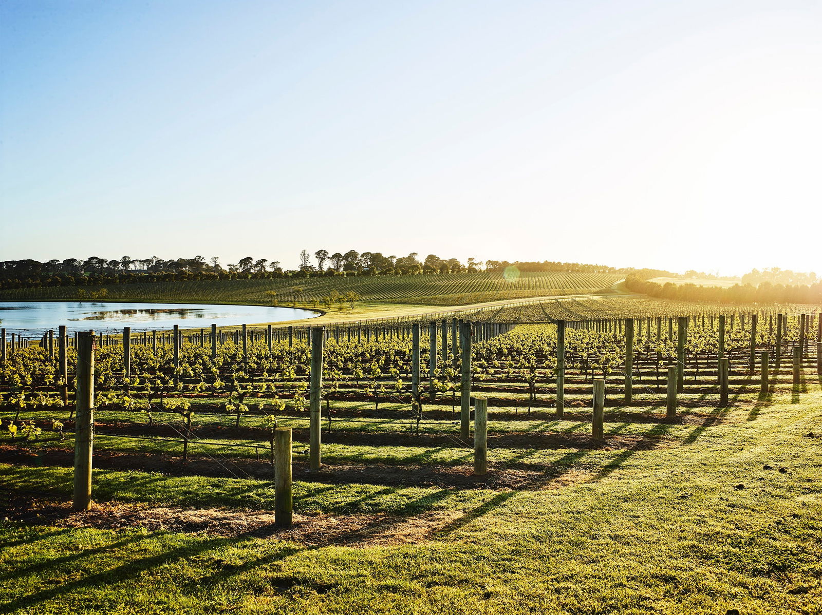 Merricks VIC Accommodation Bookings