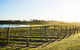 Wine Terrace And Cellar Door At Pt Leo Estate - thumb 0